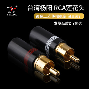 ���僽�l��RCA�^���~僽�ɏ���^���Ӳ��^ ͬ�S���l����̖�����^