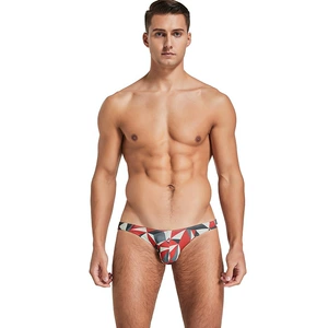 Sexy Low Waist Digital Printed Panties for Women - Breathable, 5D, Mesh Weave, Low Waist, Unlined, 60-Day Workmanship, 85% Cotton Blend