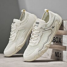 2026�����¿��Ь�оW�����e�n�泱���W���ٴ�͸��͎��������\��