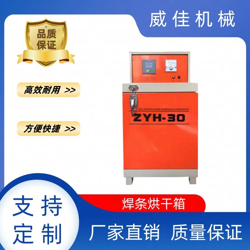 厂家直销高温干燥箱双开门单开门电焊条烘干箱储藏烘干保温箱