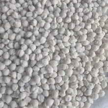 F؛ ·Có  ڱѩ  h ѩ