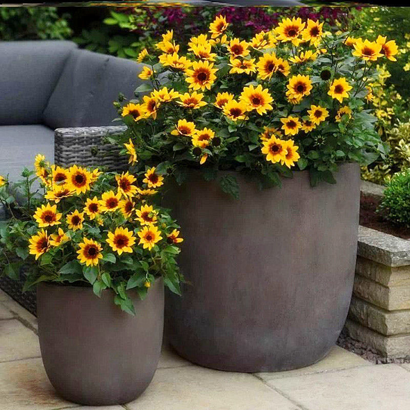 e217d35c-5770-47db-bc59-34736ccec1be.jpe