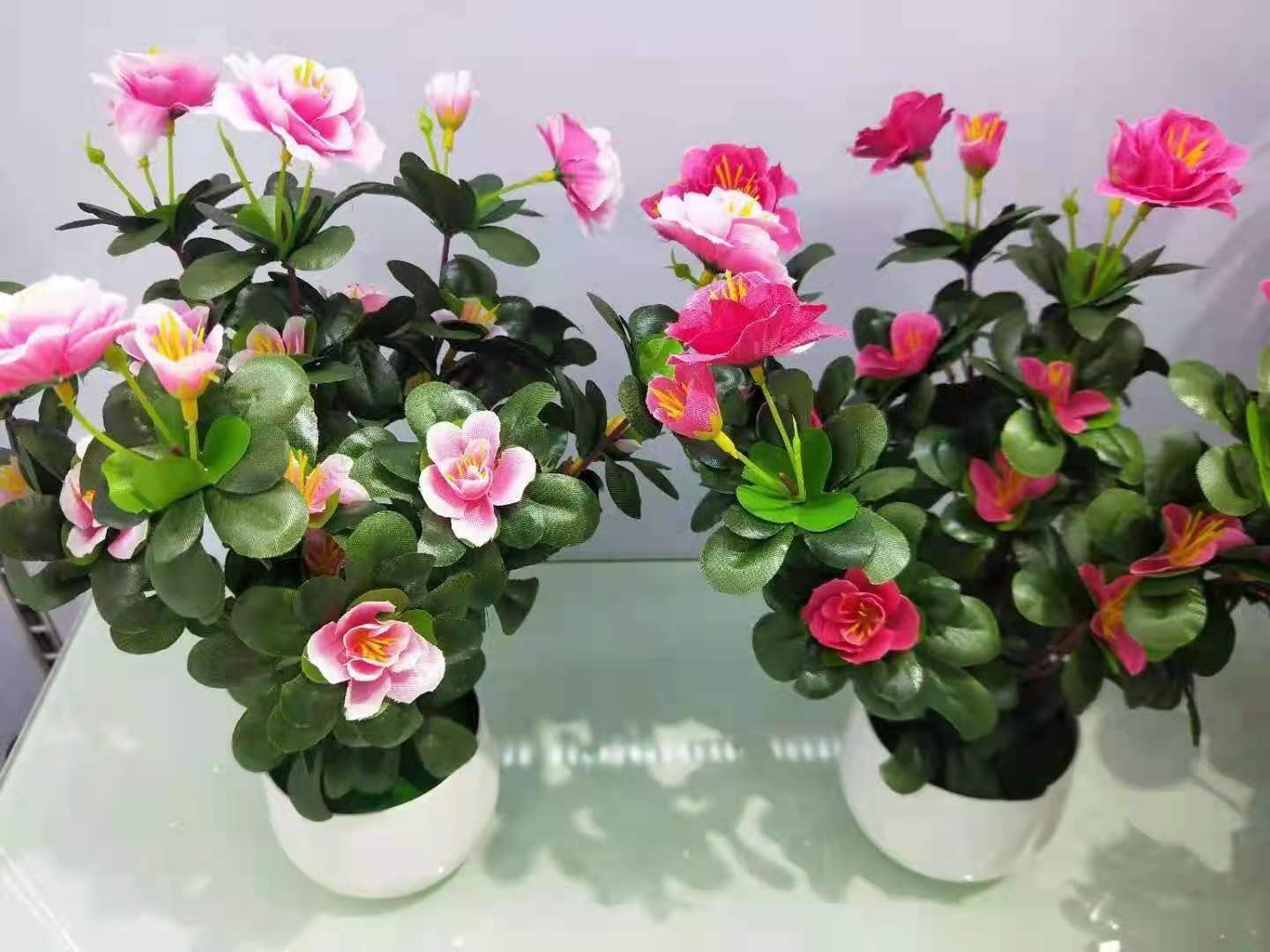 c340cc258a777c76fb7fab8141a584