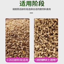 开口养殖场鹅育肥饲料斤厂家喂鹅小鹅肉鹅80颗粒全价料铁仓鼠其他