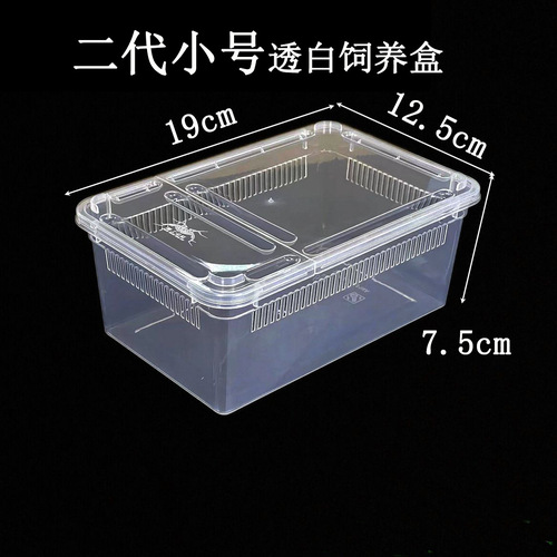 Reptile enclosures, gecko tanks, tarantula habitats, spider tanks, snake cages, silkworm breeders, snail houses, insect habitats, scorpion boxes, turtle tanks, frog tanks