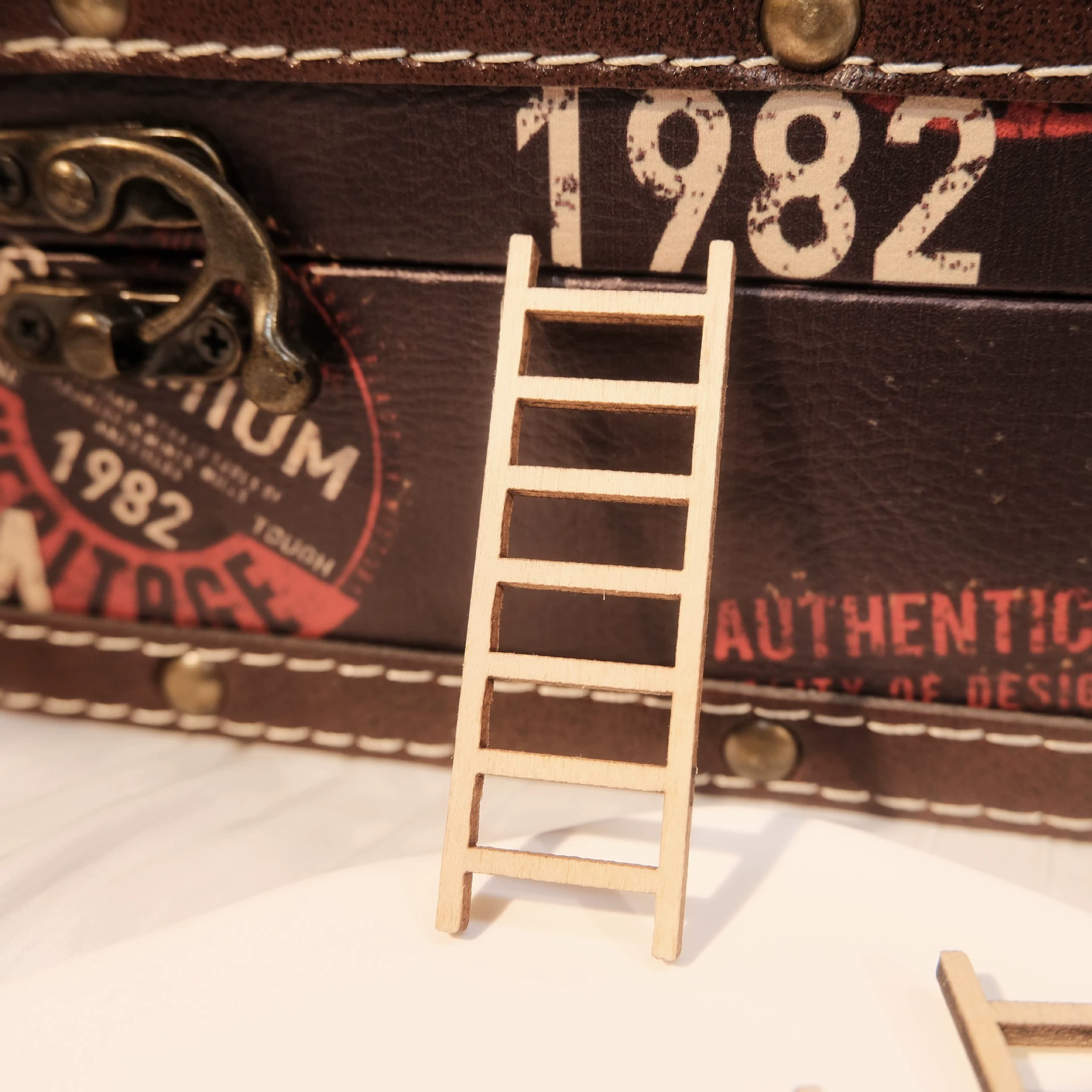 Миниатюрная сумочка-лестница, лесной сад, ландшафтное украшение, аксессуары ручной работы «сделай сам»