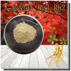 人参皂苷Rg3  Rh2支持检测人参单体皂苷无中间商人参提取物