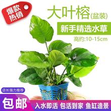 �~����ˮ���b��쾰�����ײ������Ի��w����ſ�ذ�����ˮ�ų�ľ