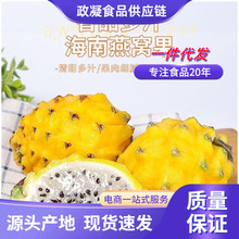 ������C�� ���l1/5������������r�SƤ�������خa�����ЋDˮ��