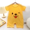 Short yellow puppy