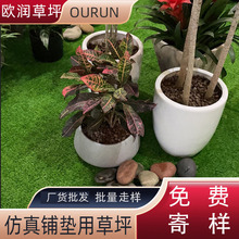 ��ƺ䁉|�ٲ������Ƥ�����̨��̺�����_�|�T�|�\�ӌ�����������