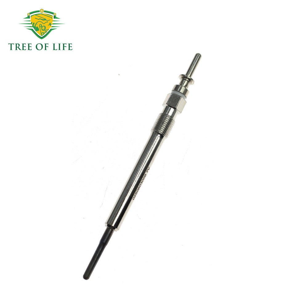 0250603006,12230035934,12237803368 are suitable for Mini Cooper Toyota glow plugs