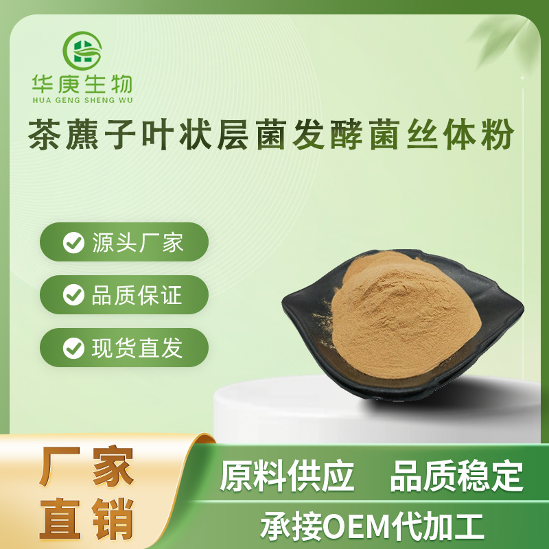 茶藨子叶状层菌发酵菌丝体粉 99%  金银花菌提取物 菌丝体 包邮