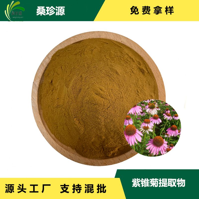 现货紫锥菊提取物 紫锥菊原料萃取 比例提取 紫锥菊粉