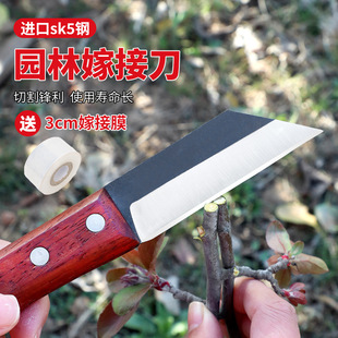 Grafting Knife Multifunctional Handmade Knife for Fruit Trees Rough Trees Bud Knife for Gardening Special Knife for Grafting Garden Tools