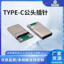 TYPE-C公头插针2个焊点拉伸壳充电款 TYPEC插头A-C连接器