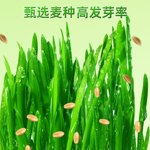 Cat Grass Canned Headache Lazy Cat Grass Planting Kit Cat Snack Hairball Cat Green Plant Pet Supplies