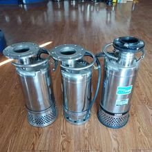 不锈钢潜水泵大口径过滤循环泵大流量锦鲤鱼池养殖喷泉抽清水泵