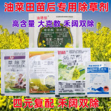 甘蓝型油菜田地苗后专用除草剂烯草酮草除灵氨氯吡啶酸二氯吡啶酸