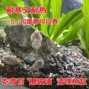 ��ˮ������~�F�������q�p���P������������~С����ԭ���~���Ӝ�