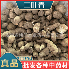 ��ș�����l���~����eș�Ĵ�؛������z�����J��Ƭ ����r��