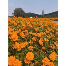 AջS˹ջNļN_Nֲ̨ͥԺ