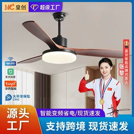 风扇灯;吸顶灯;智能家居