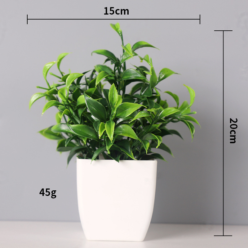 작은 둥근 봄 화분 식물