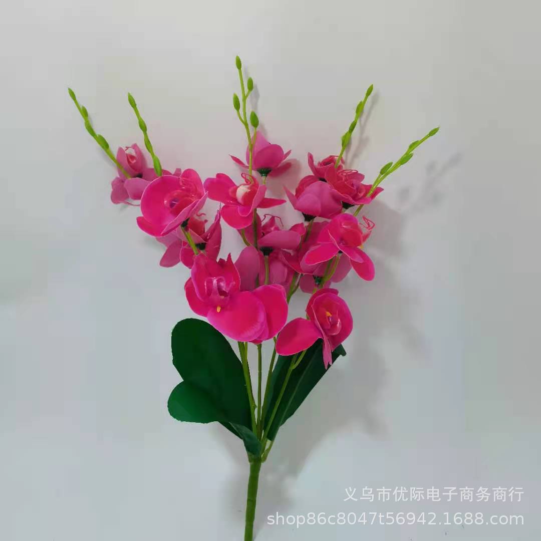 2322958e2dc72e30126dc50904dce7