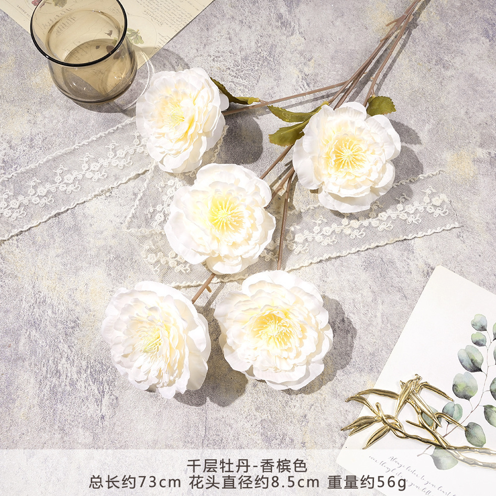 LM-千层牡丹-香槟色