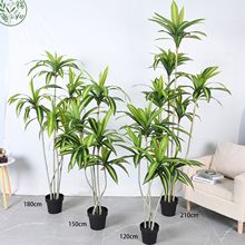 �߶˷������ľ��ֲ������bGֲ�����҃ȼҾӔ[������ֲ���쾰