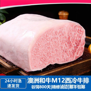 ���޺�ţԭ��ţ�Ź�o�����������lM12��������ȼ��ձ�5Aţ��