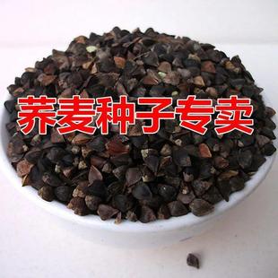 �w���N�ӿ��w���N�����w���N����ѿ�˷N���s�Z�N�ӳ�ѿ��90����