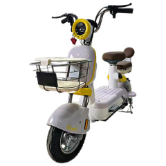 国境を越えて人気のある新型電動自転車の源工場の現物卸売り成人通勤電気自動車
