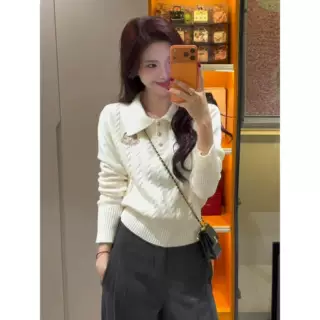巨好看的米白色刺绣polo领针织衫女冬装独特漂亮毛衣内搭打底上衣
