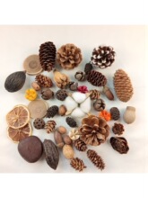 �ɻ��ɹ�ľƬ�ɹ��b��׃��@�M�����b�ֹ��[���͹����յ���