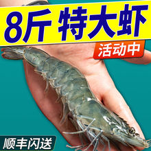 青島大蝦整箱海鮮鮮活速凍大冷凍基圍蝦鮮蝦海蝦對蝦青蝦生鮮批發
