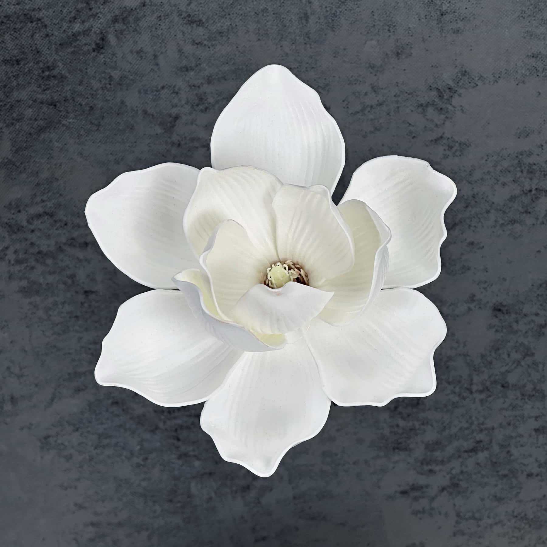 Flor de simulación transfronteriza EVA cabeza de magnolia 13cm tacto tocado kapok decoración decoración decoración flor falsa al por mayor