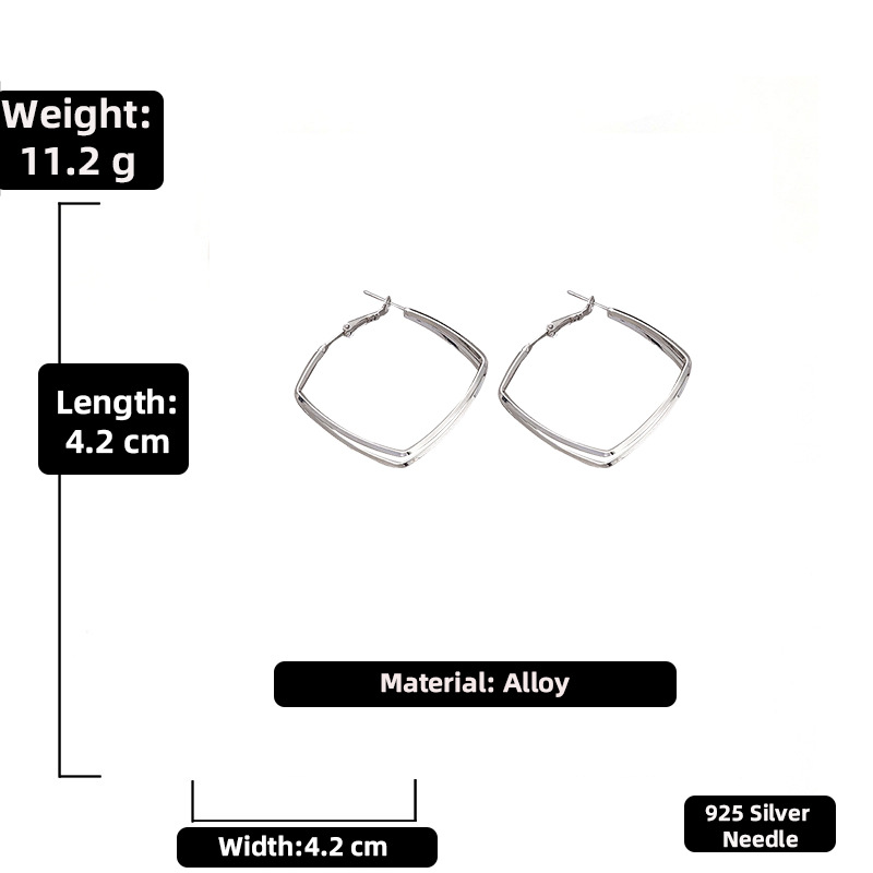 Exaggerated Double-layer Metal Geometric Earrings European And American Fashion Simple Earrings display picture 2