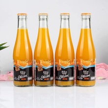 ̩���M����֭Դ��֭��֭��ϾSC�r����ե���e�Ʒ250ml*24ƿ