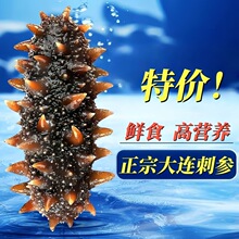 ������ʳ�̅����B�����r���|����؛Ұ������500g�؃r�΂��b���Y��