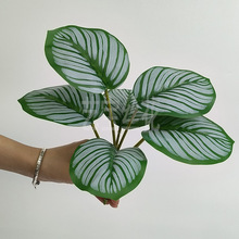 �¿�6�^��ȸ�~�����������O���~ ���Wins�Ҿ��b���GֲС����