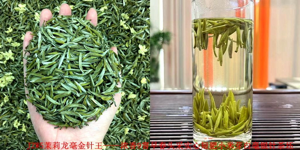 JZW5 Jasmine Longhao Golden Needle King 2025 신차 - 강한 향기 9가지 향기 이른 봄 첫 수확 단단한 짧은 지방 기장 새싹 Pekoe Silver Needle Tea Base(건조 차에는 꽃이 포함되지 않음)
