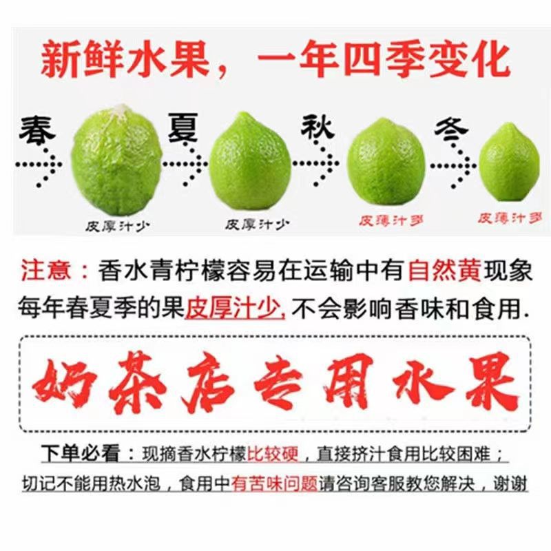 广东香水柠檬江门台山产地直发新鲜无籽商用一件代发厂家跨境批发