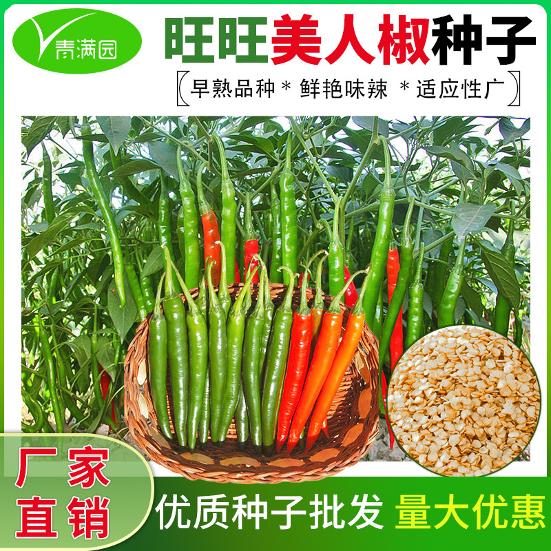 香辣美人椒种子干鲜辣椒两用小米椒泡椒薄皮牛角椒辣椒种子大全