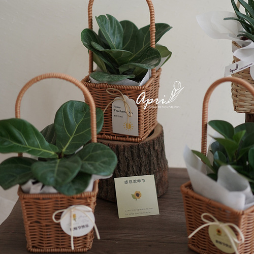 Iron style retro pastoral style hand-woven hand-woven flower basket flowers and green plants picnic storage basket