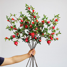 �������^ʯ���֦����Gֲ�٘�֦�Ҿ��b�����廨����ʯ��֦