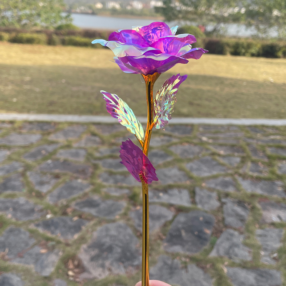 Jiao Yan flores eternas flores bonos de oro simulación del día de la madre creativo regalos del día de San Valentín regalos al por mayor transfronterizos