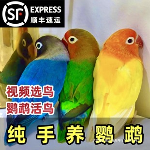 �W�^���B���fԒ���B����С�B���B���w�����{�y���_�m��Ƥĵ�����P