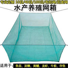 10目3mm泥鳅黄鳝养殖网箱水产育苗存鱼夏花养鱼防逃鱼箱渔具抓鱼
